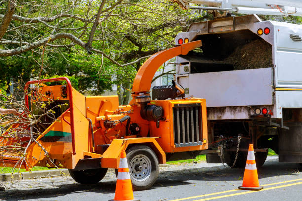  Highland City, FL Tree Services Pros